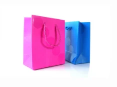 Portable paper bag